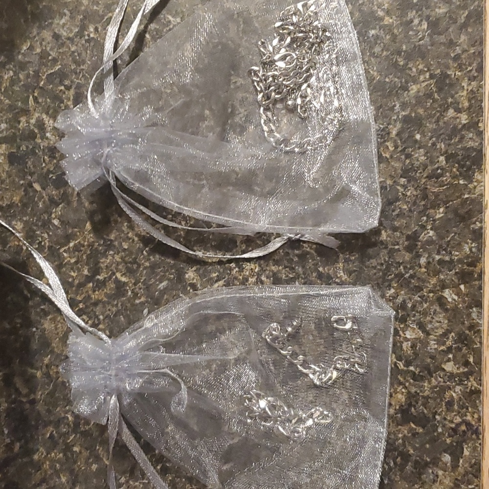 Simply Vera Vera Wang NWOT Silver Chained Necklace & Matching Drop Earrings